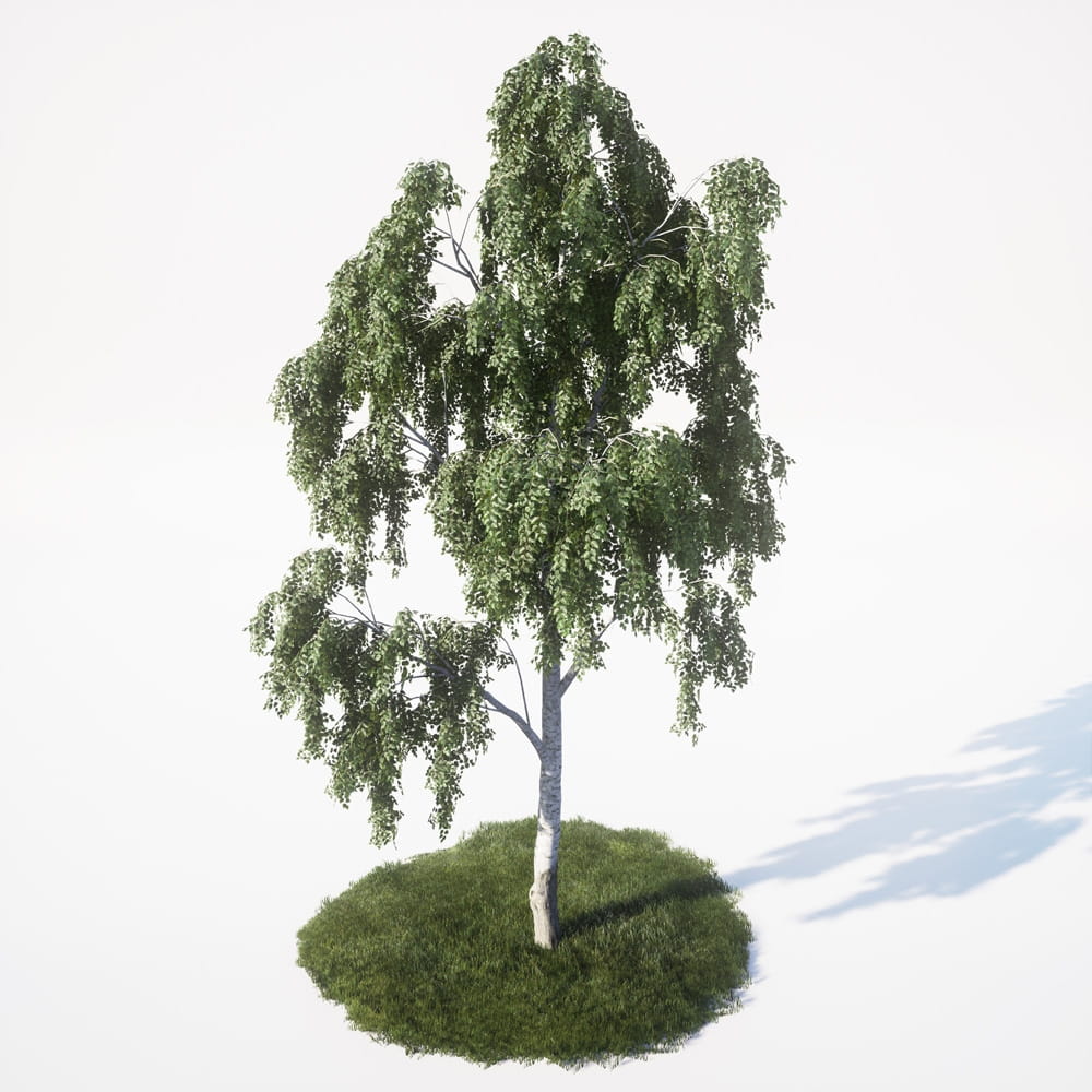 AM_UE4_vol4_018