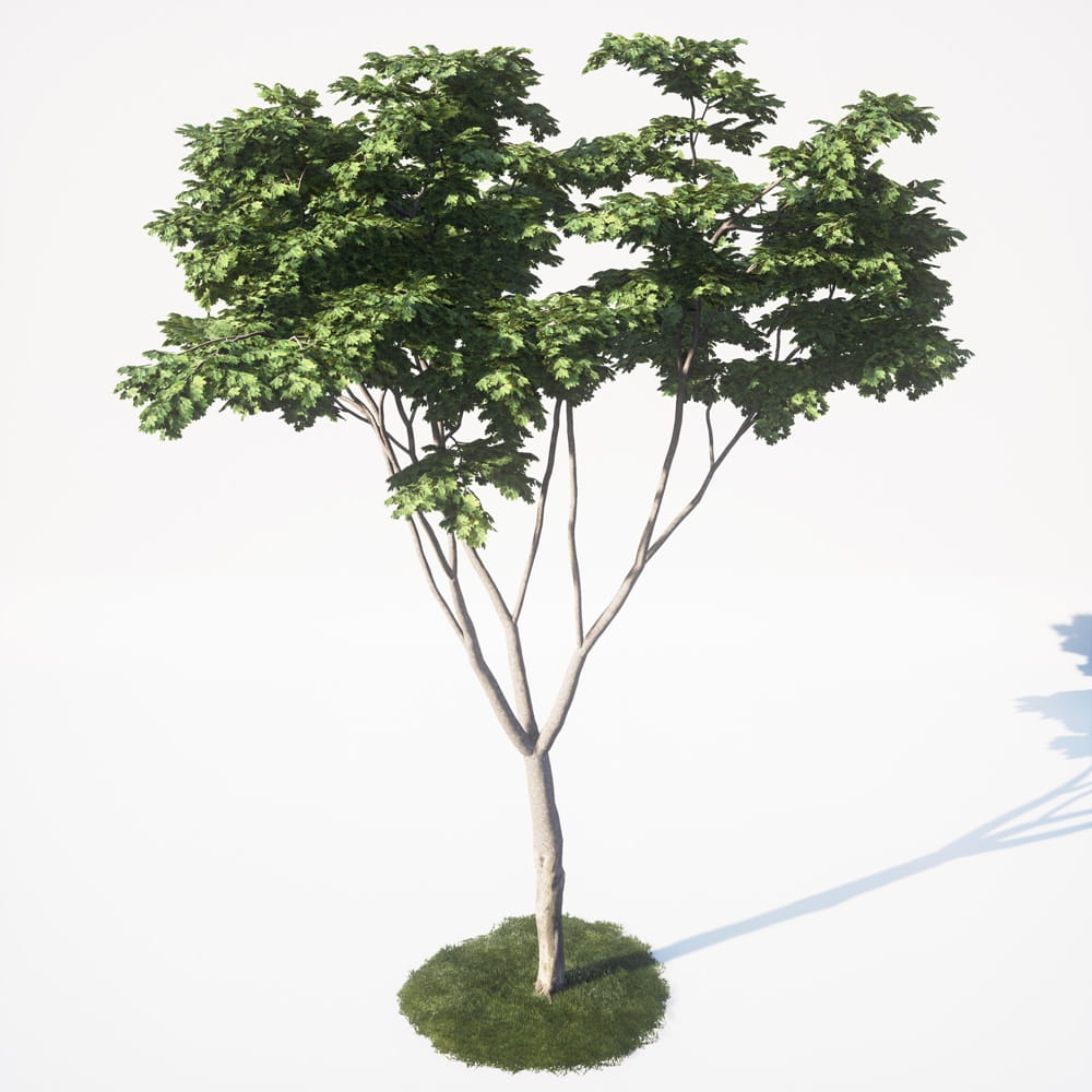 AM_UE4_vol4_019