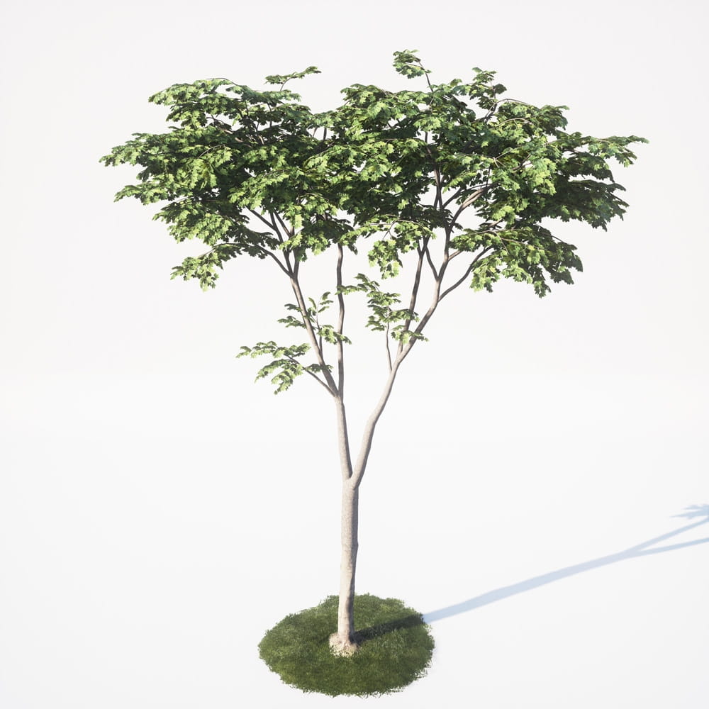 AM_UE4_vol4_020