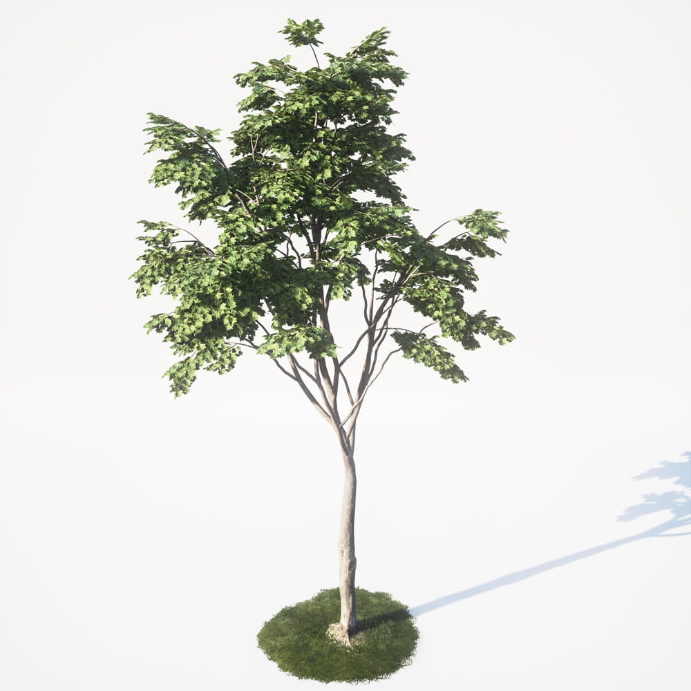 AM_UE4_vol4_021