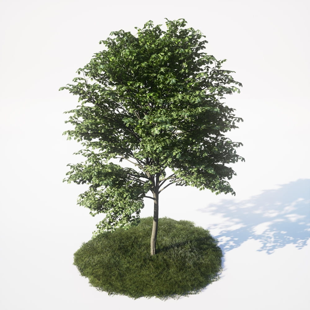 AM_UE4_vol4_022