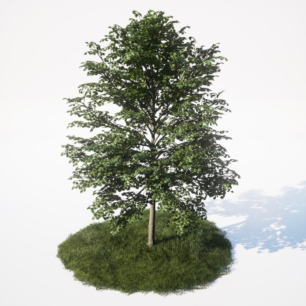AM_UE4_vol4_023