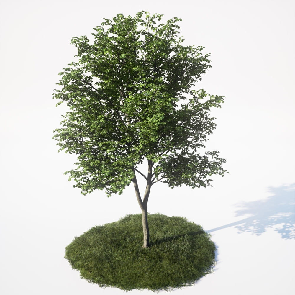 AM_UE4_vol4_024