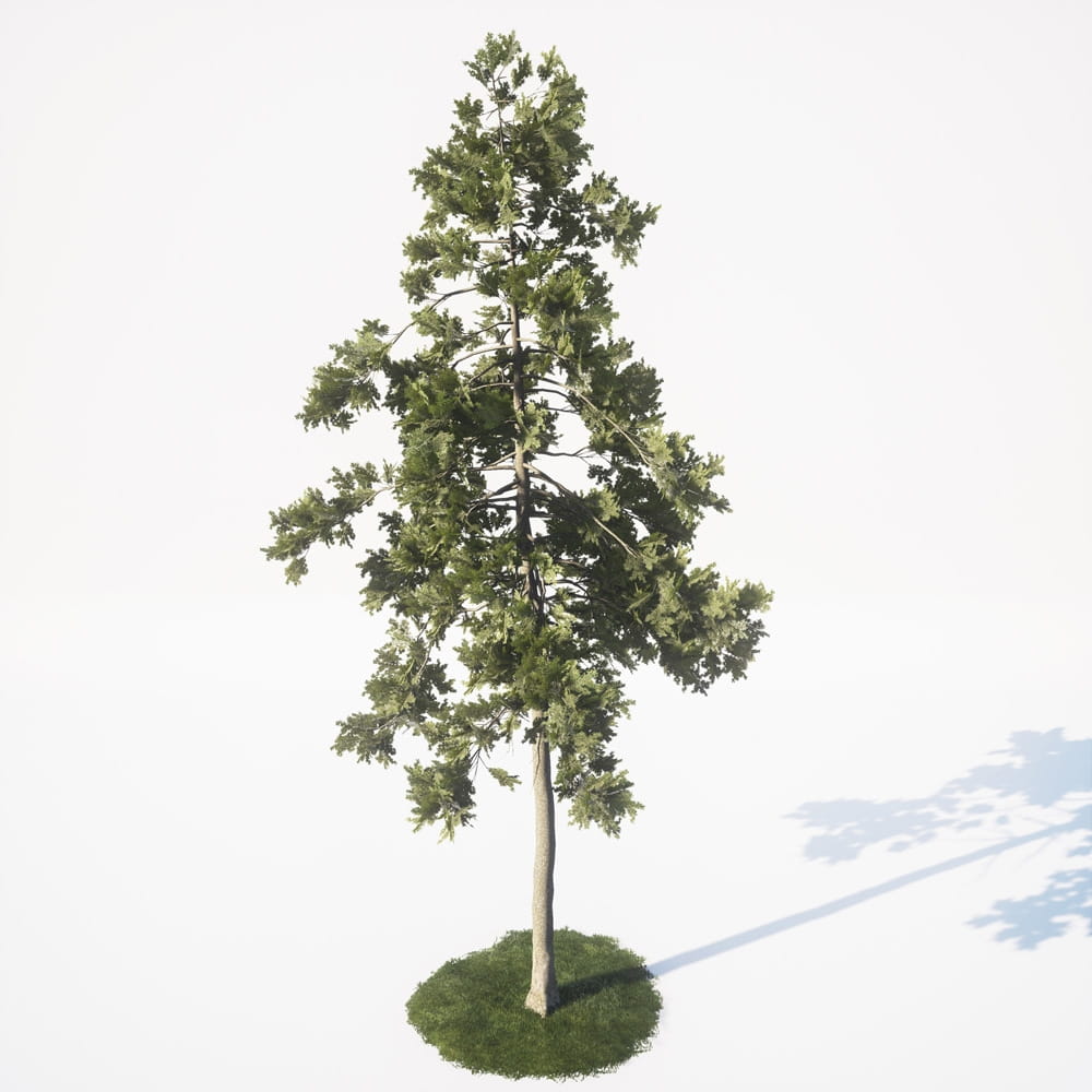 AM_UE4_vol4_025
