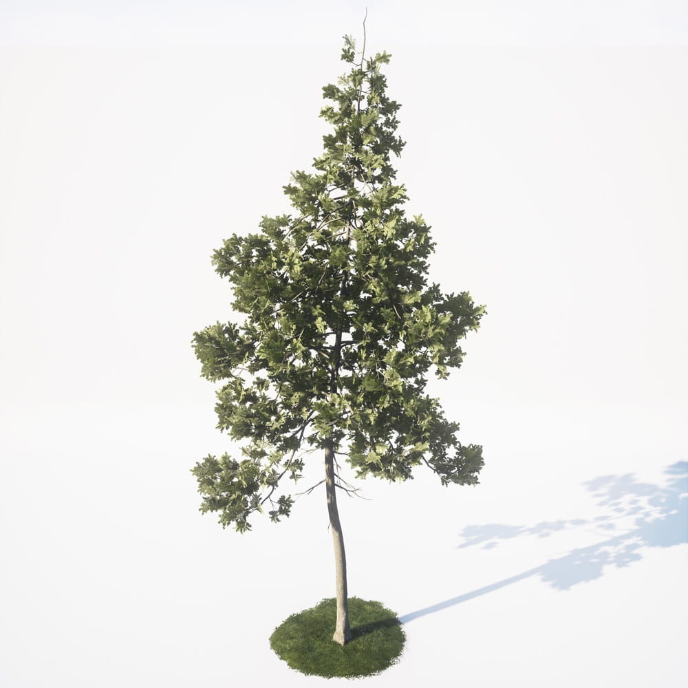 AM_UE4_vol4_026