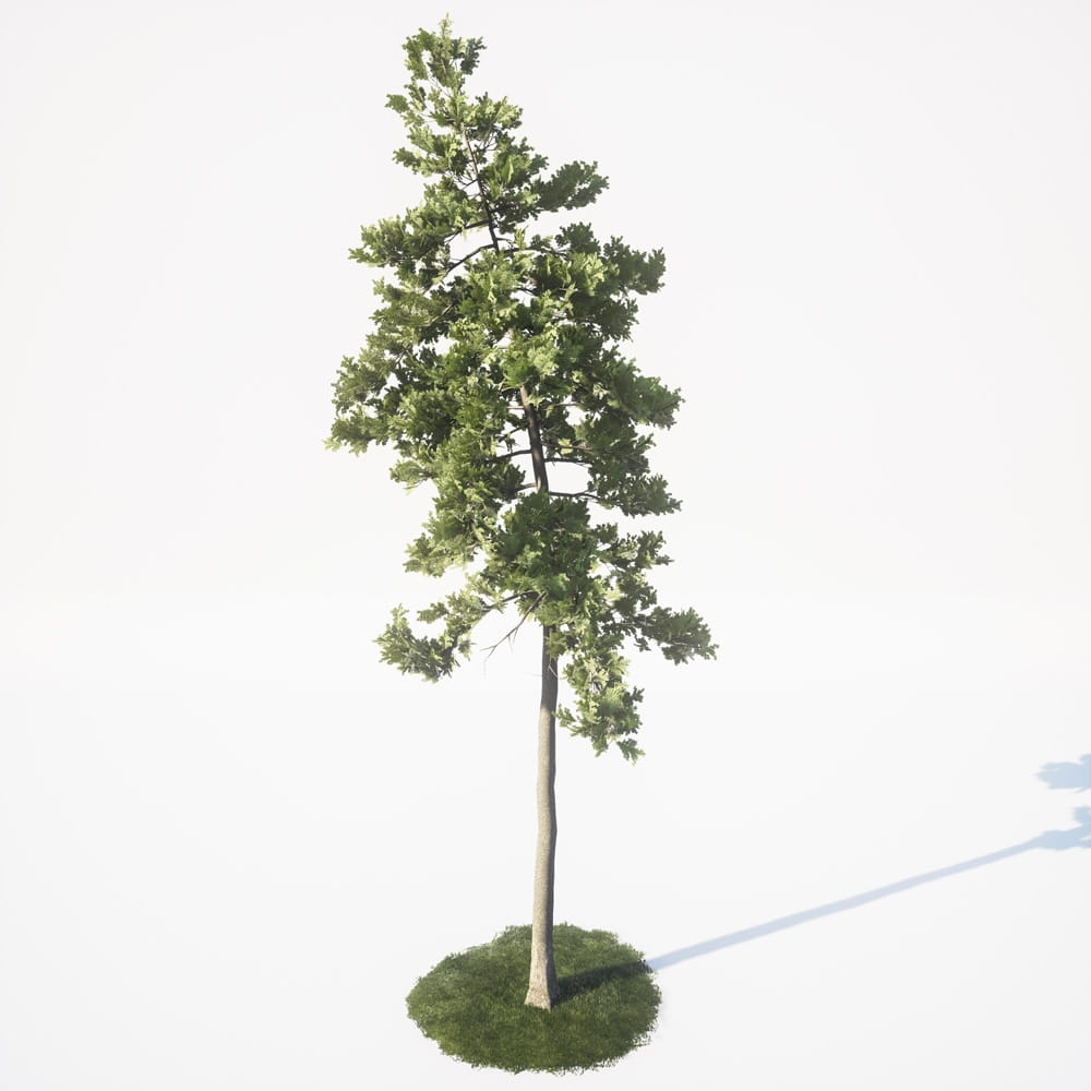 AM_UE4_vol4_027