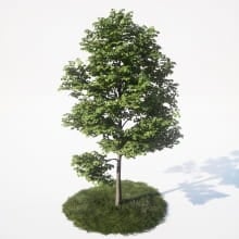 AM_UE4_vol4_028
