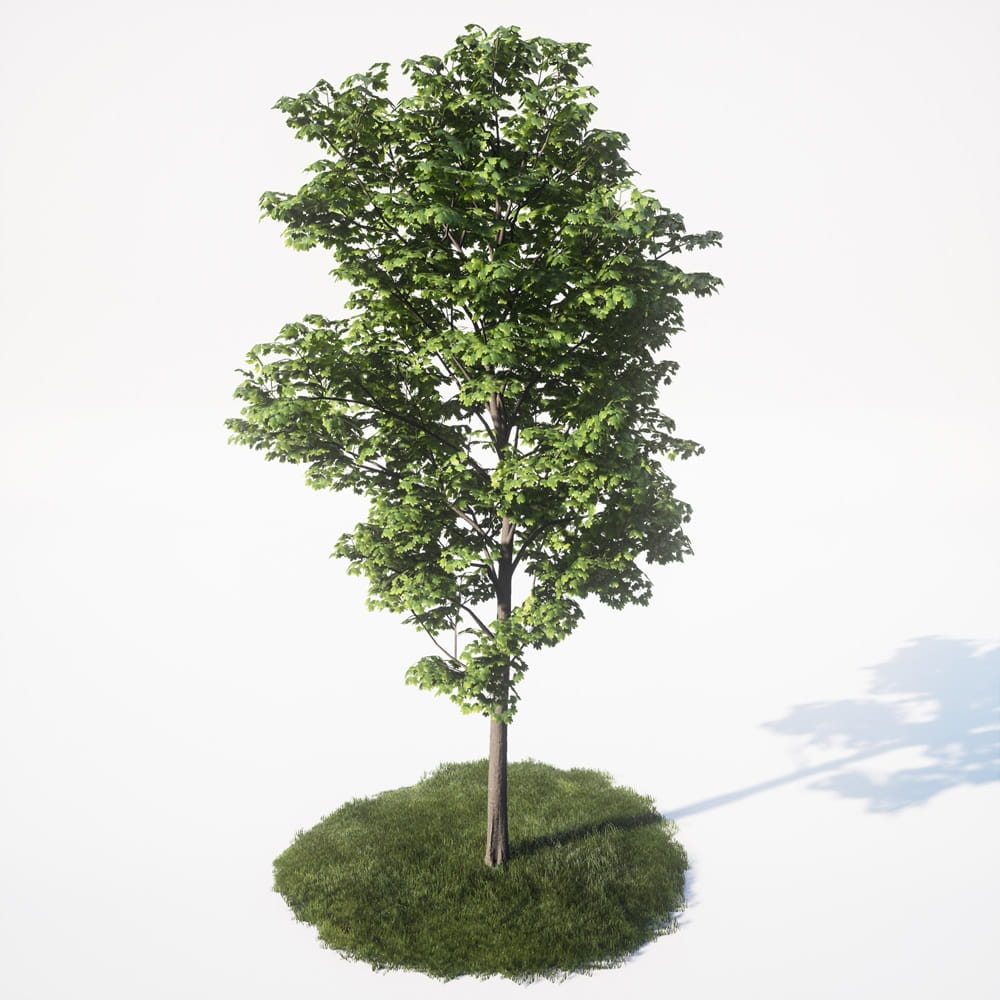 AM_UE4_vol4_029