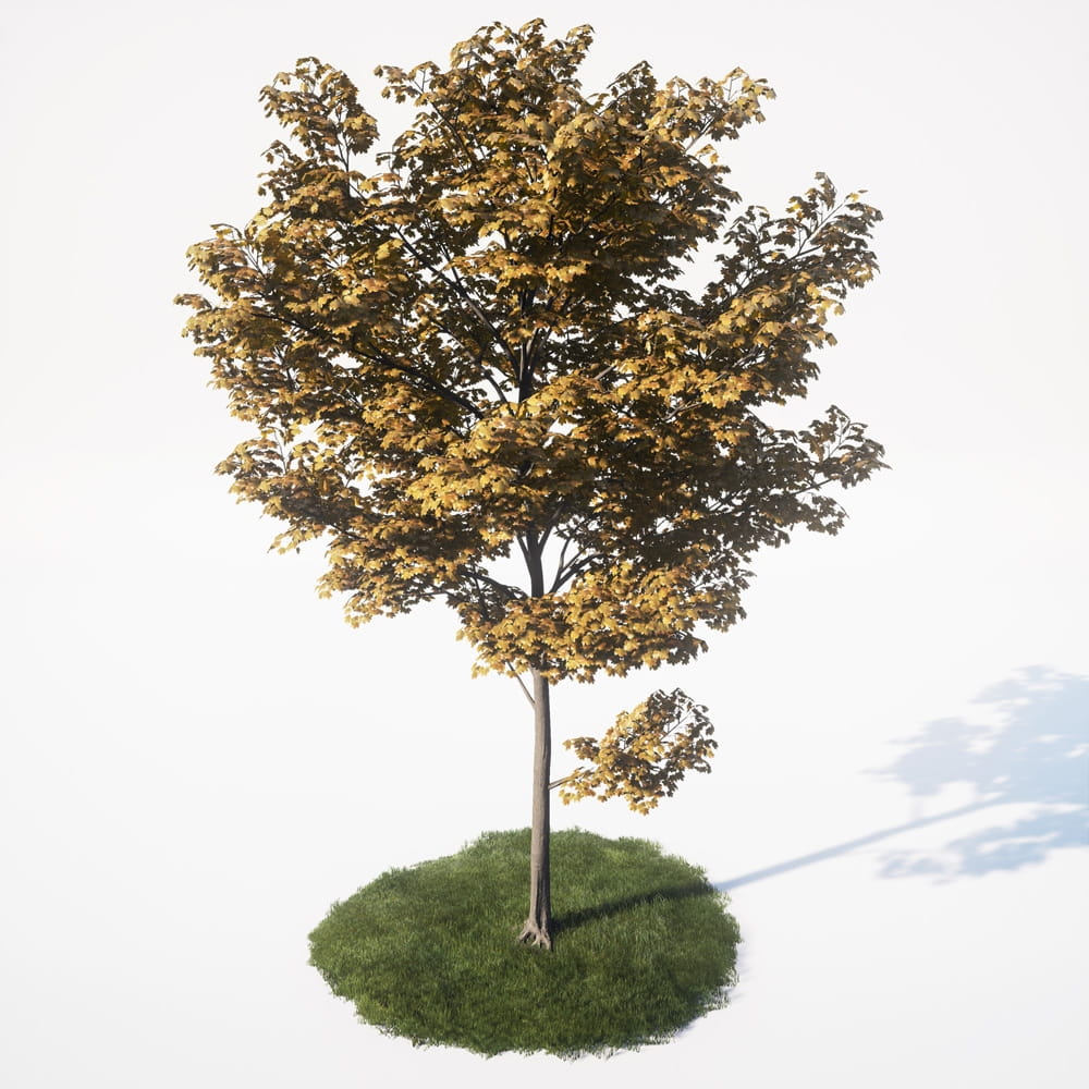 AM_UE4_vol4_030