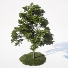 AM_UE4_vol4_031