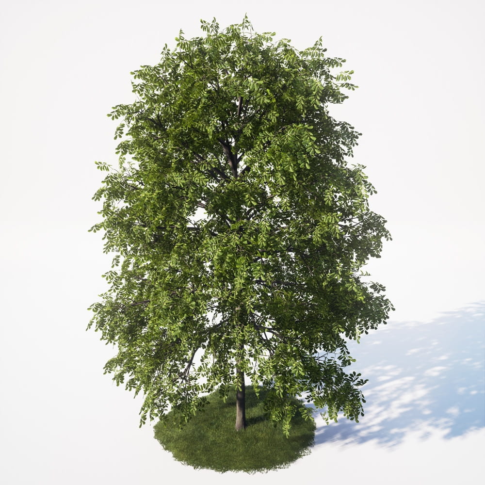 AM_UE4_vol4_032
