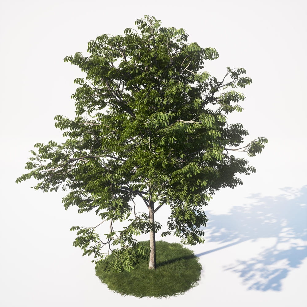 AM_UE4_vol4_033