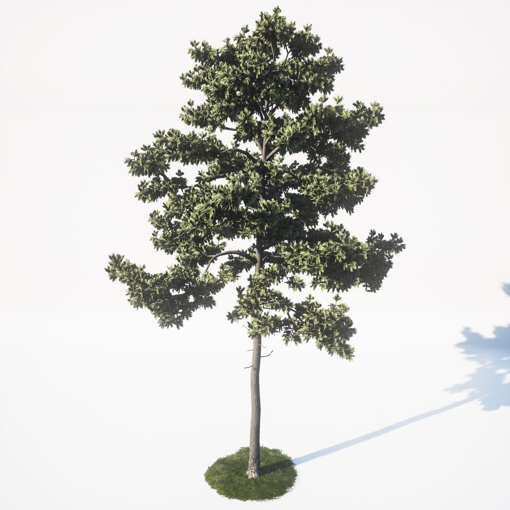 AM_UE4_vol4_035