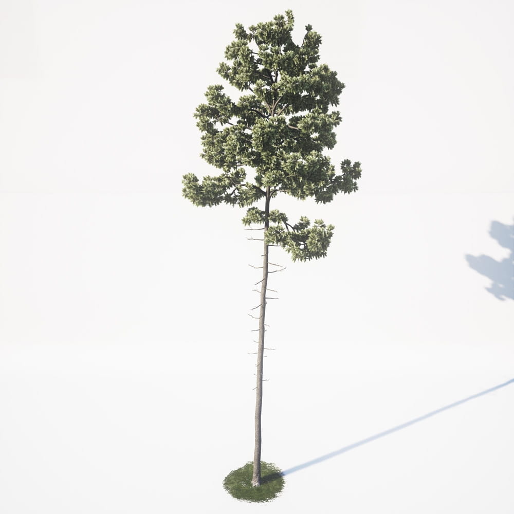 AM_UE4_vol4_036