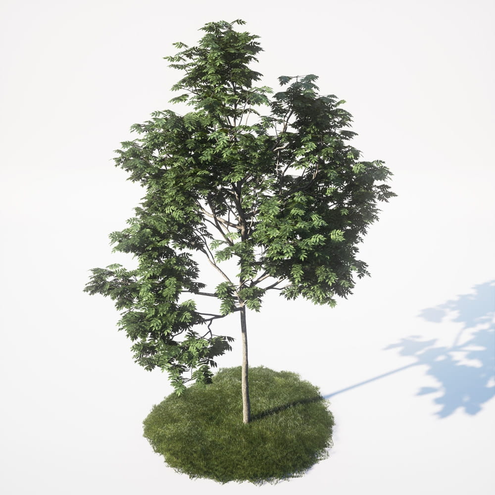 AM_UE4_vol4_037