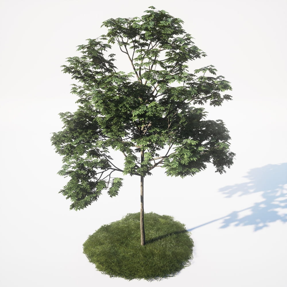 AM_UE4_vol4_038