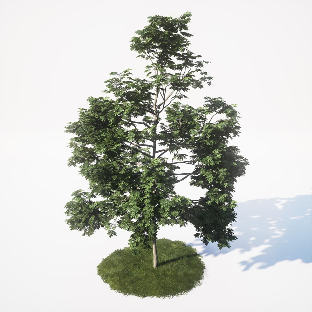 AM_UE4_vol4_039