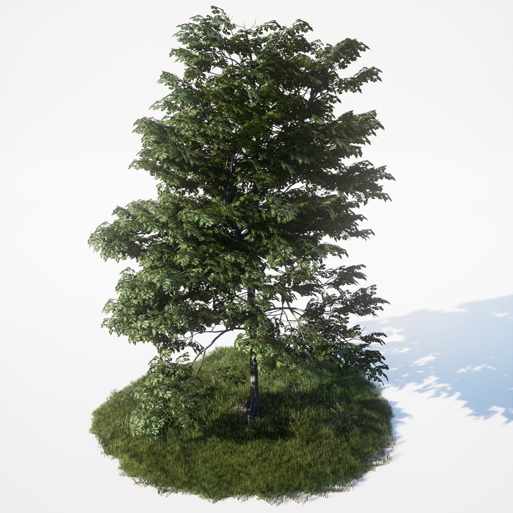 AM_UE4_vol4_040