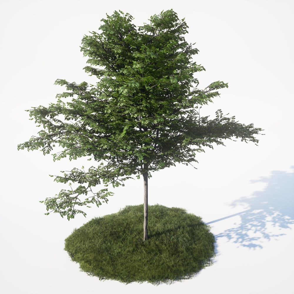 AM_UE4_vol4_041