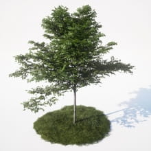 AM_UE4_vol4_041