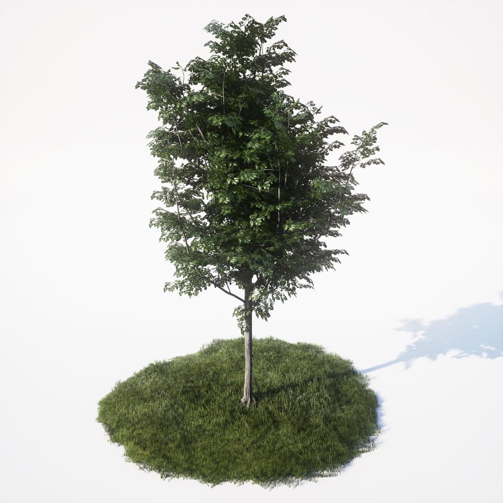 AM_UE4_vol4_042