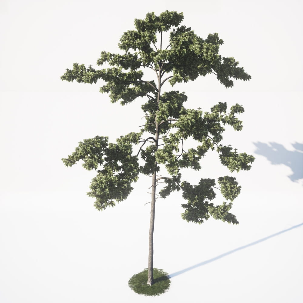 AM_UE4_vol4_044