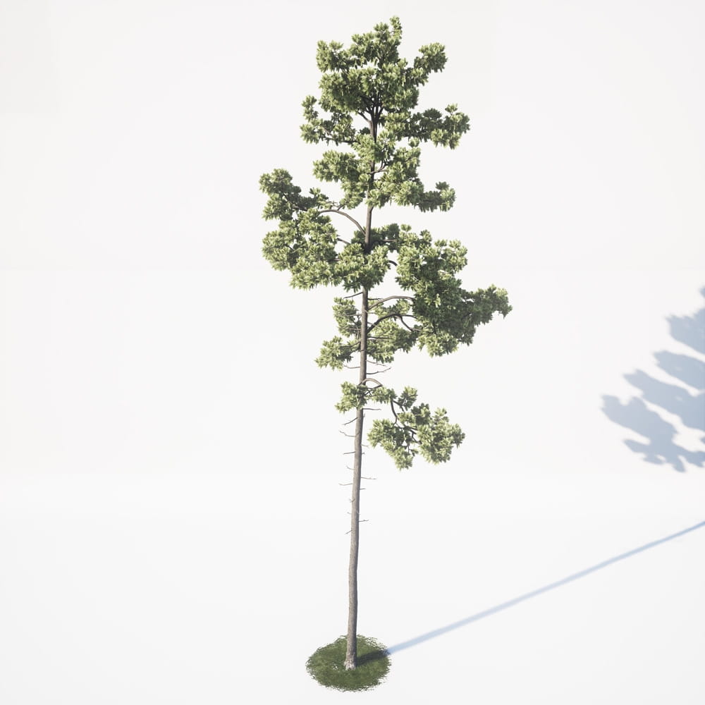 AM_UE4_vol4_045