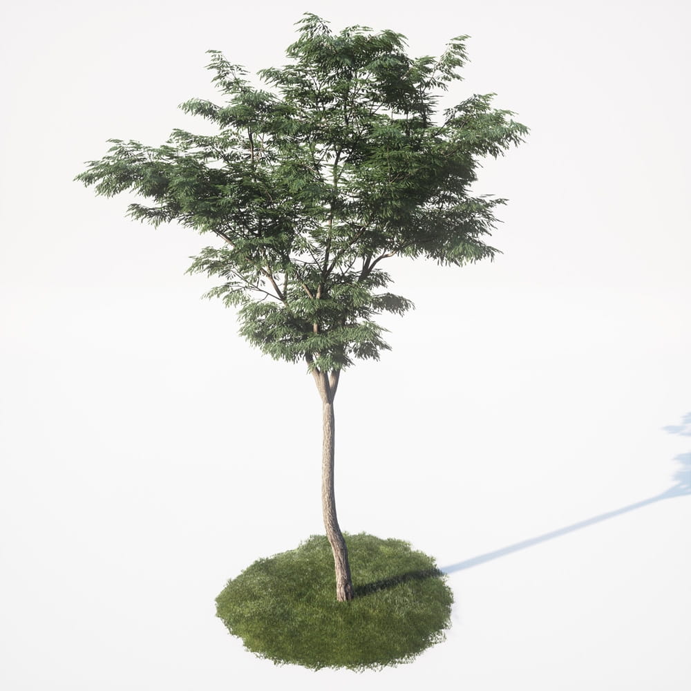 AM_UE4_vol4_046