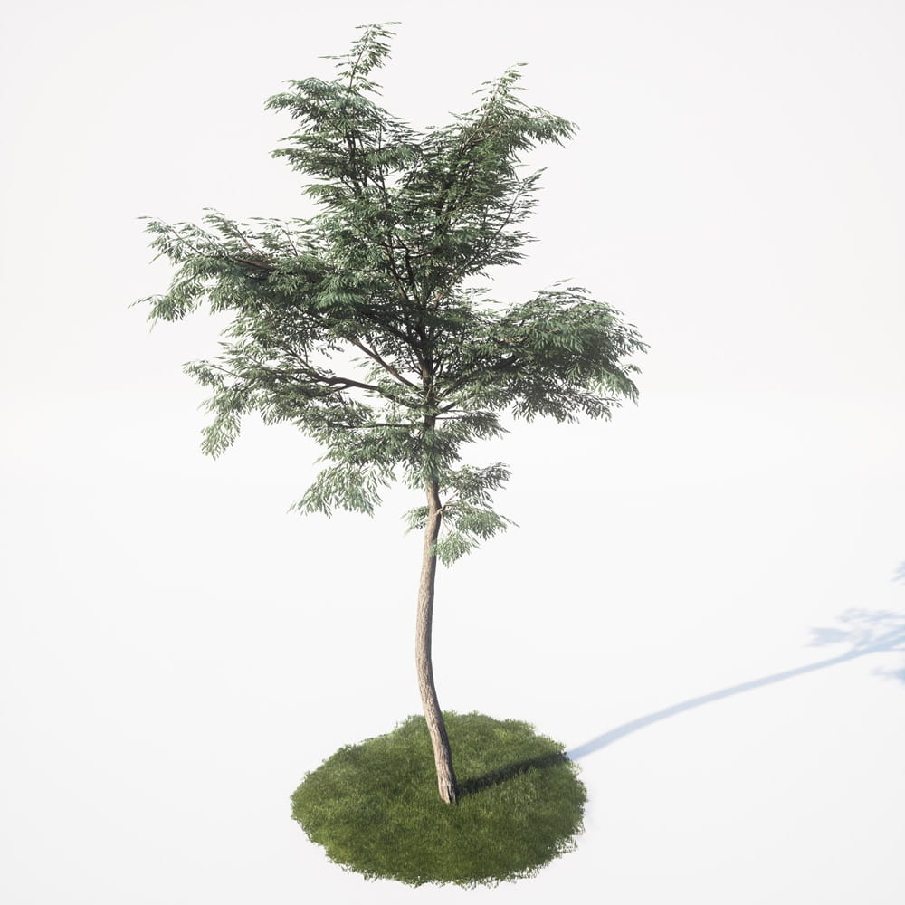 AM_UE4_vol4_047