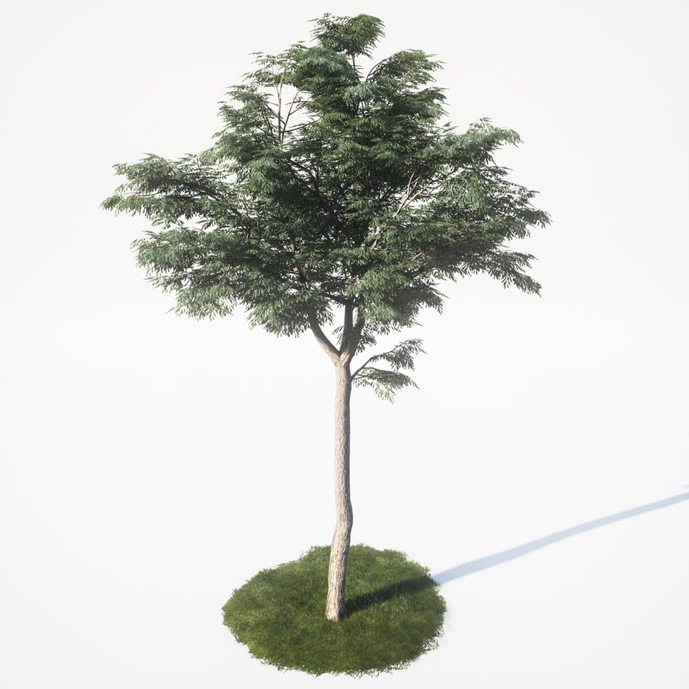 AM_UE4_vol4_048