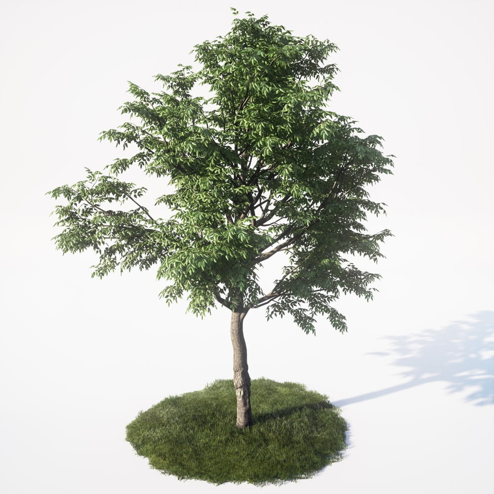 AM_UE4_vol4_049