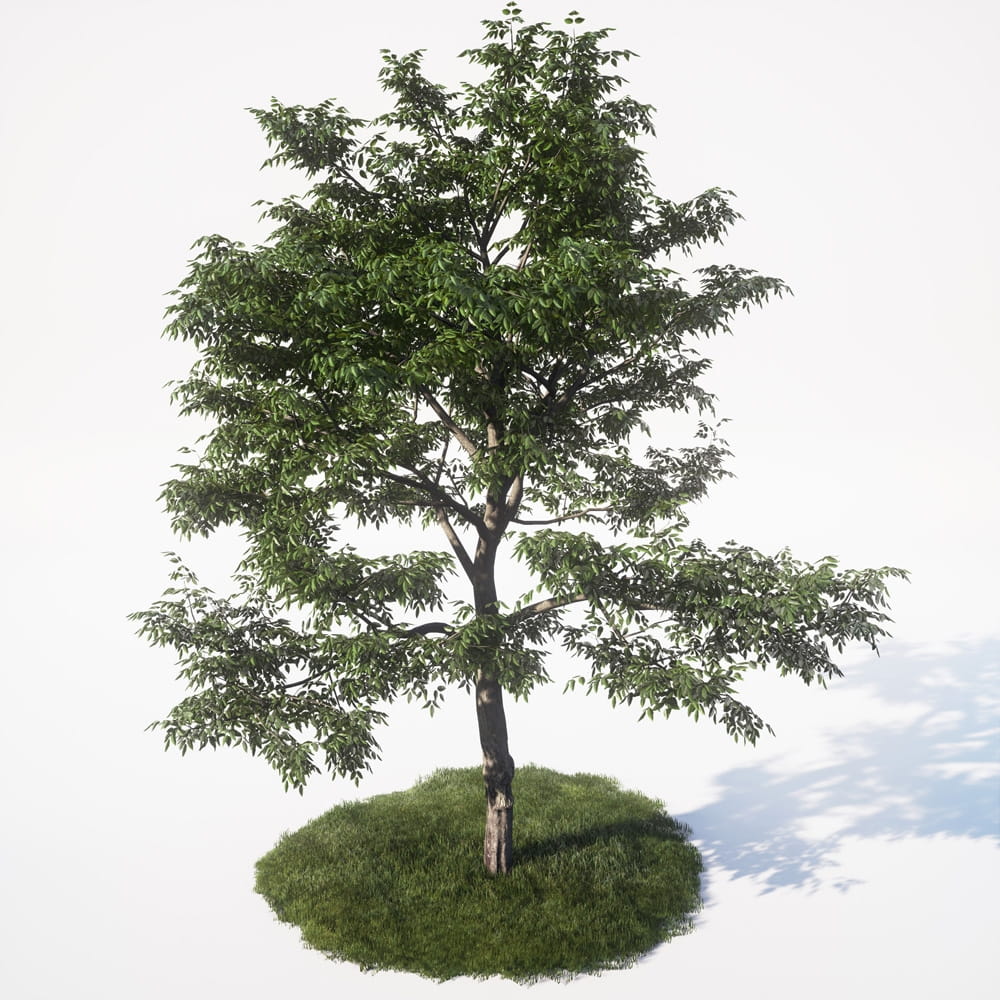 AM_UE4_vol4_050