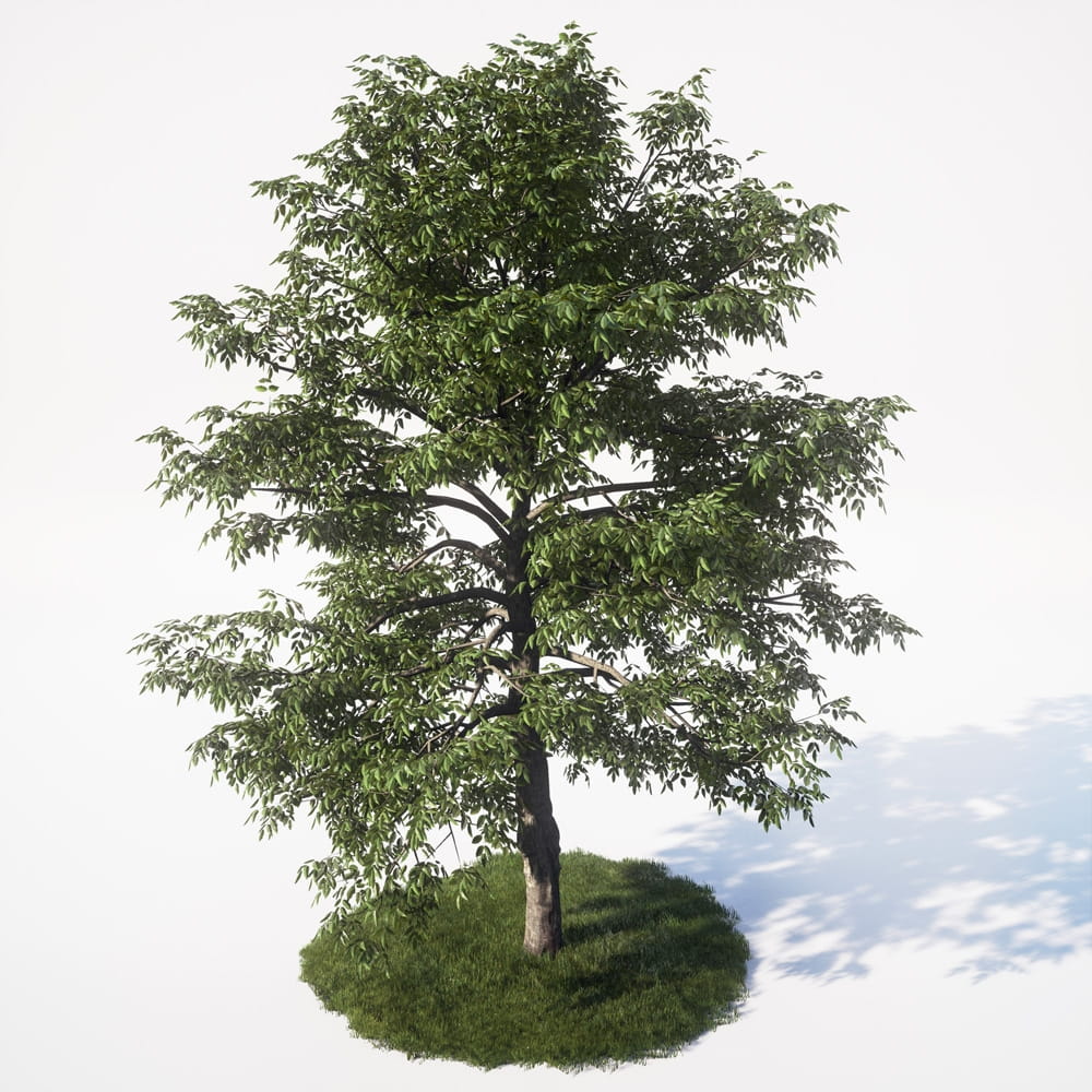 AM_UE4_vol4_051
