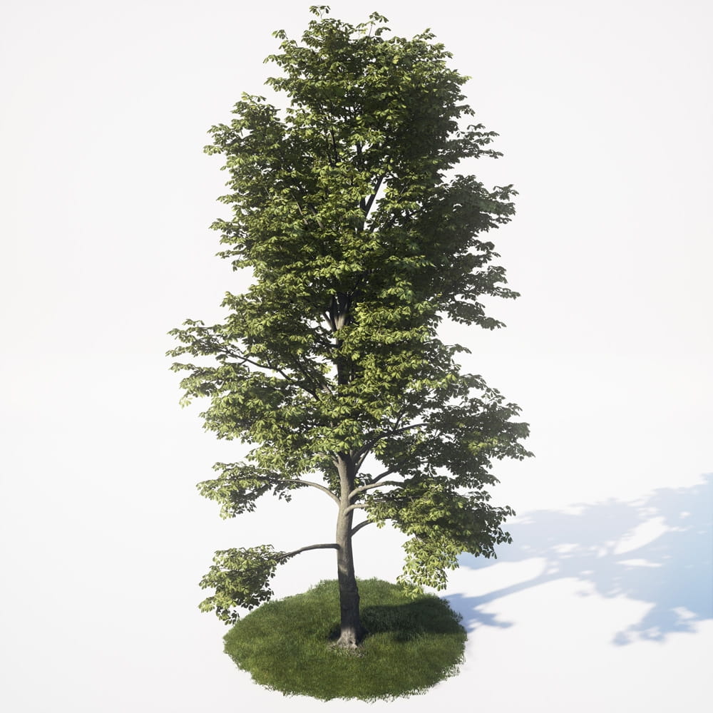 AM_UE4_vol4_052