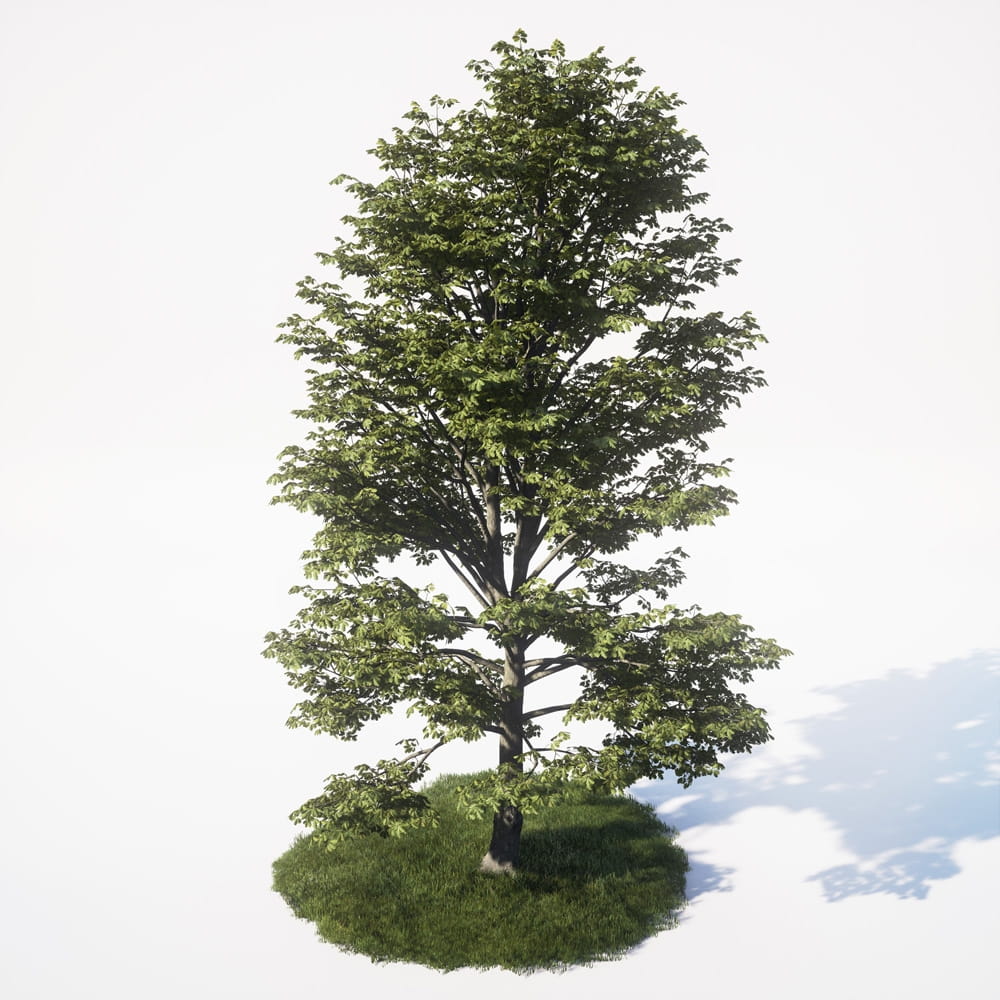 AM_UE4_vol4_053