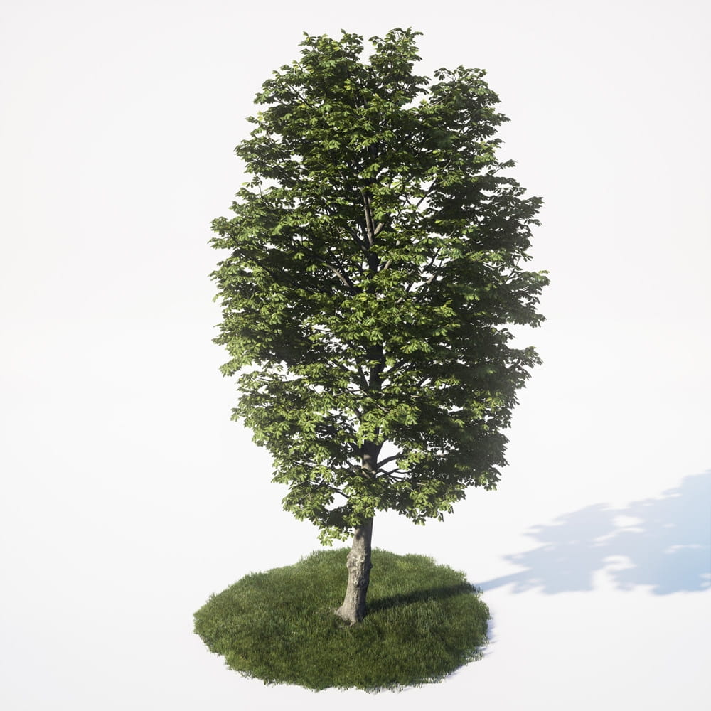AM_UE4_vol4_054