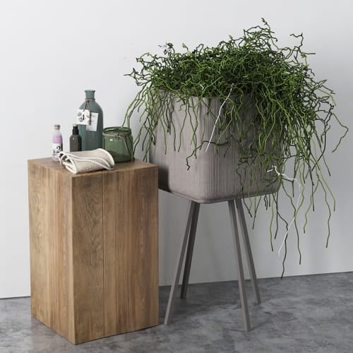 props plant 17 AM196 Archmodels