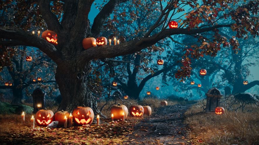 Halloween Scene 2025