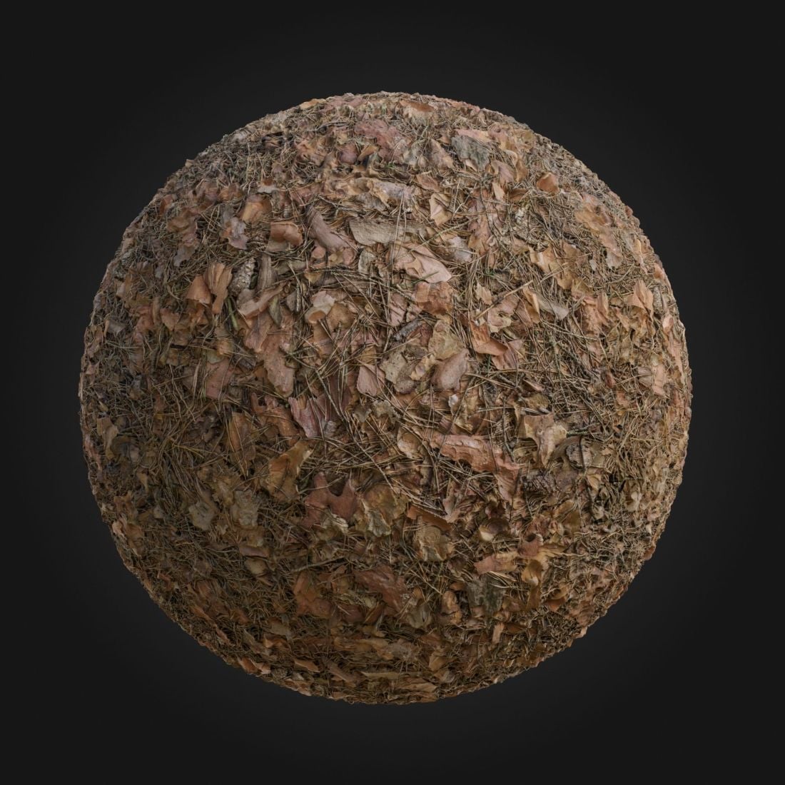 Forest_Floor