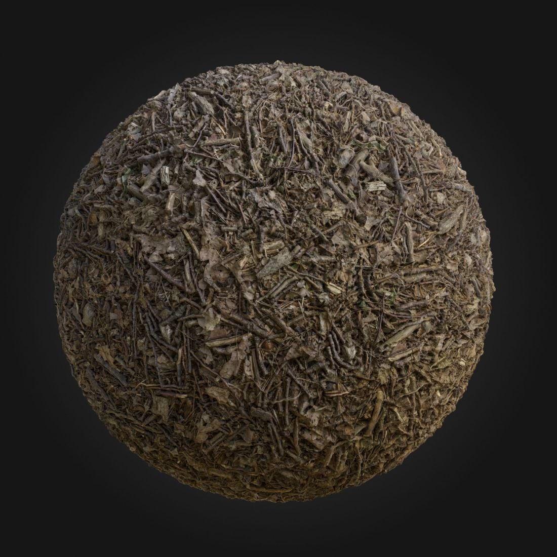 Forest_Sticks