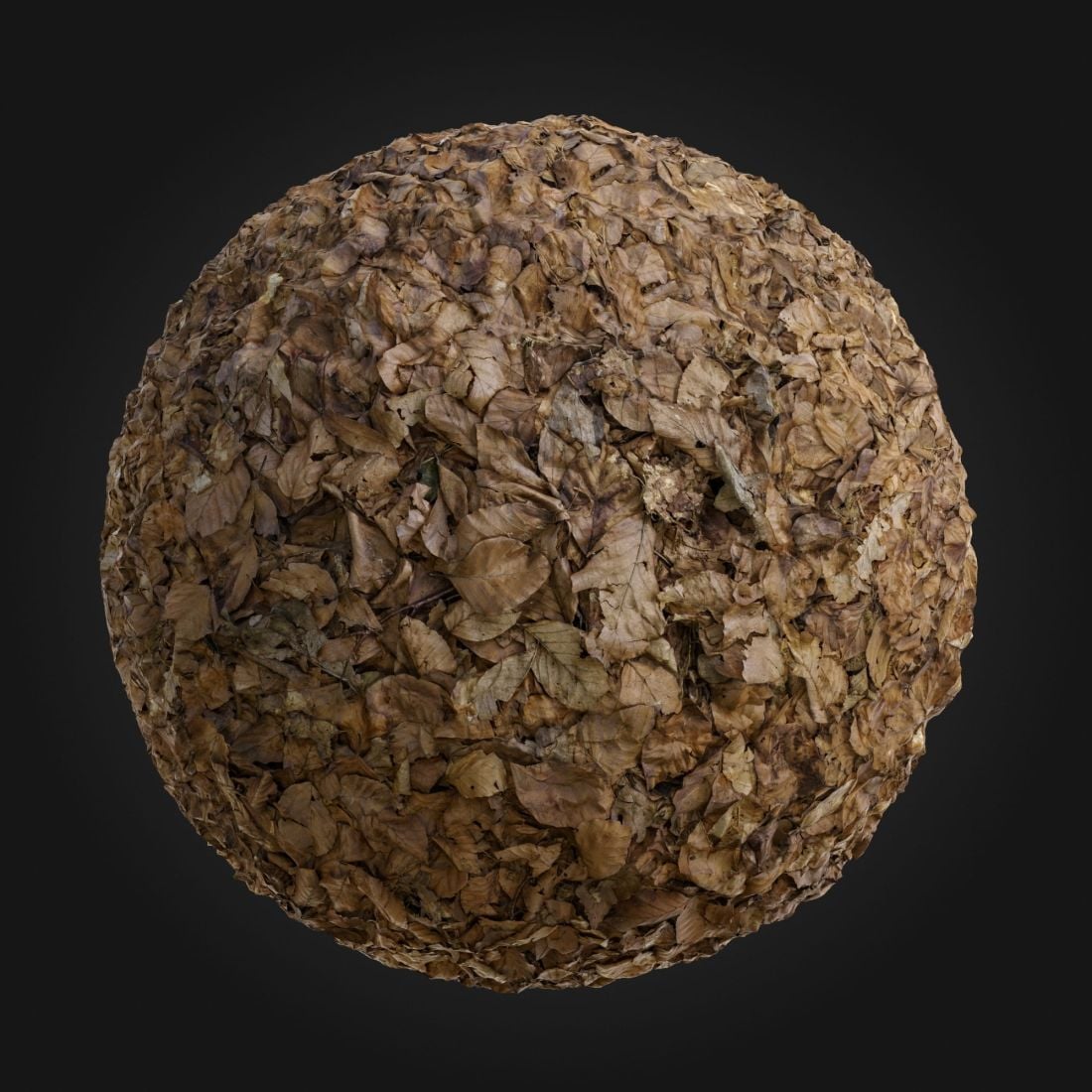 Leafs_Dry