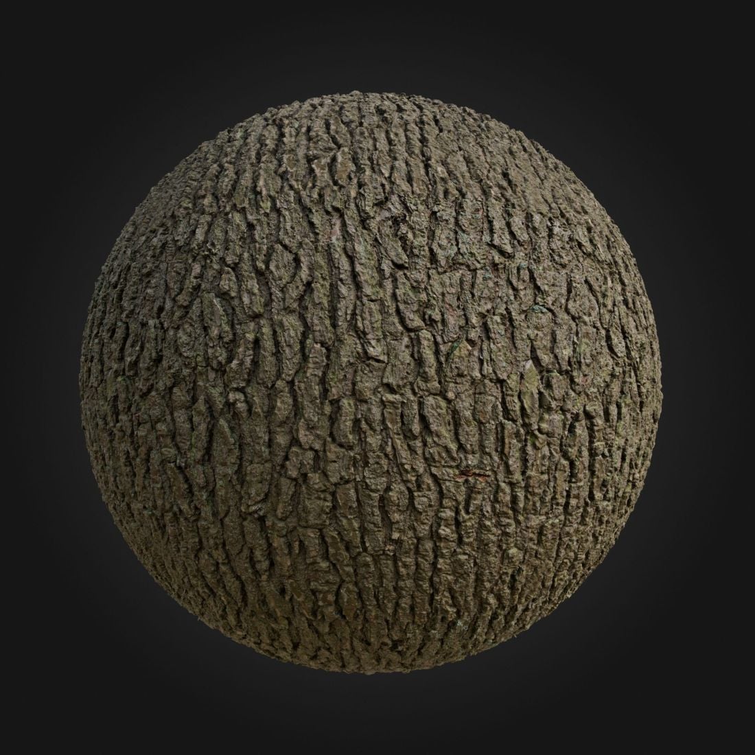 Pine_Bark