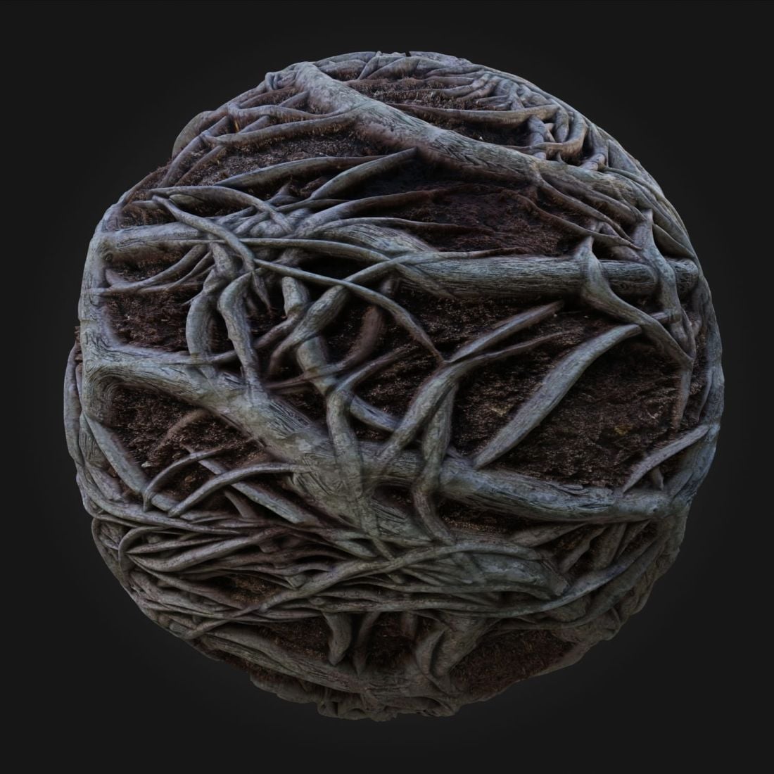 Roots_01
