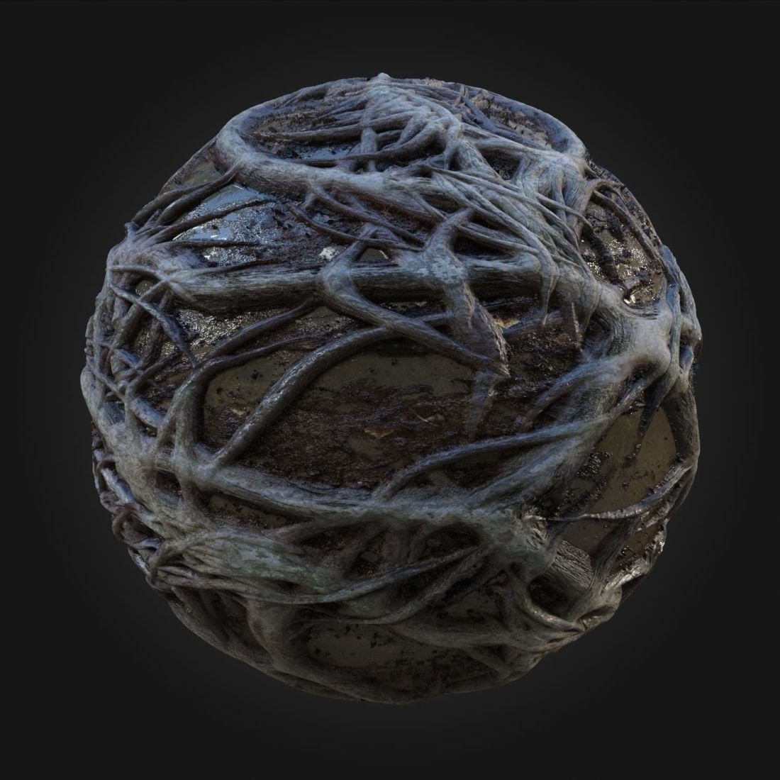 Roots_02