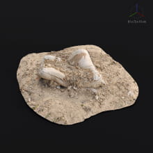 SC_Rubble_014_003