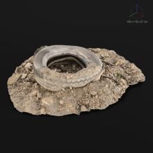 SC_Rubble_058_003