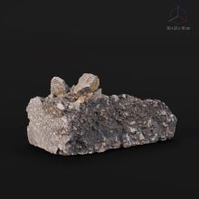 SC_Rubble_060_001