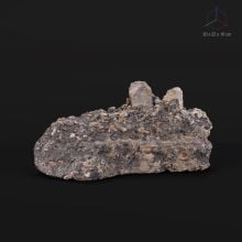 SC_Rubble_060_003