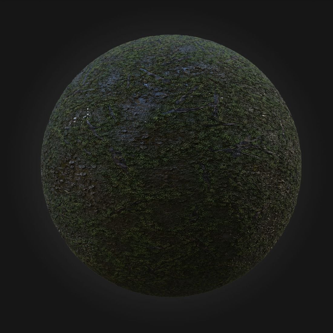 Swamp_01