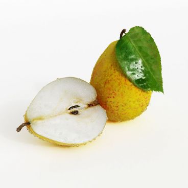 pear 42 AM130 Archmodels